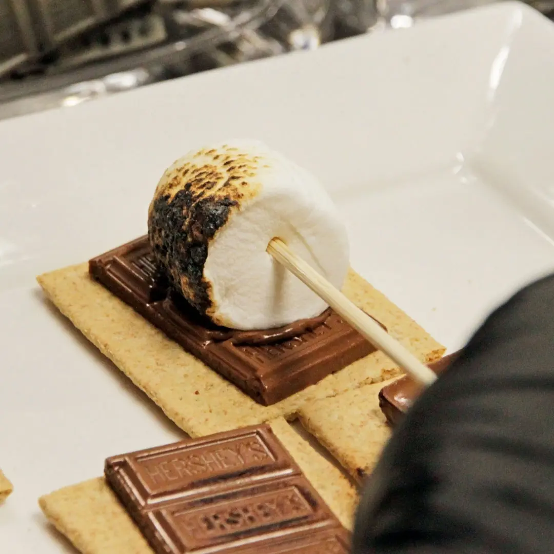 S’mores Catering NYC