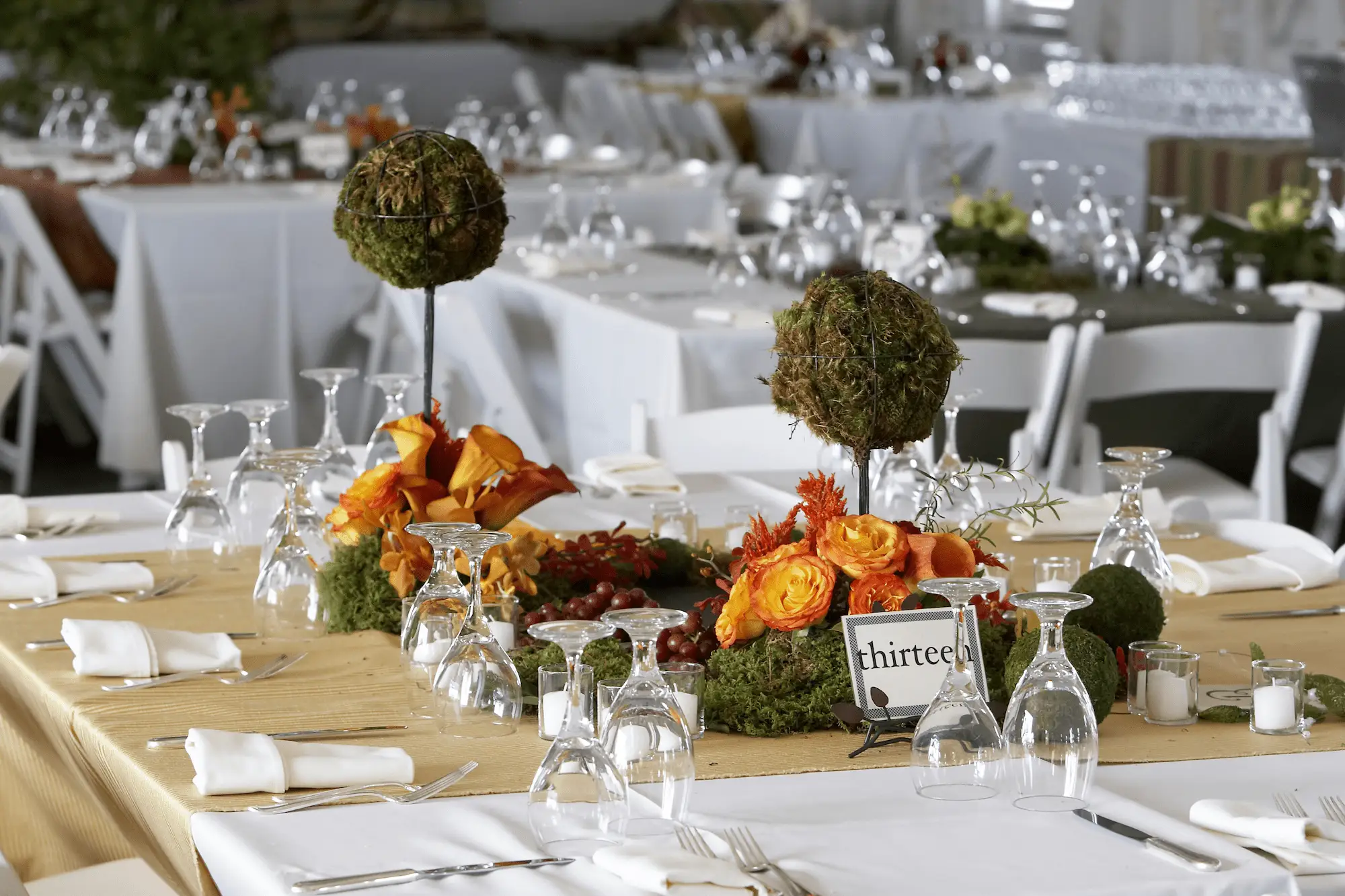Party Equipment Rentals Party Equipment Rentals
