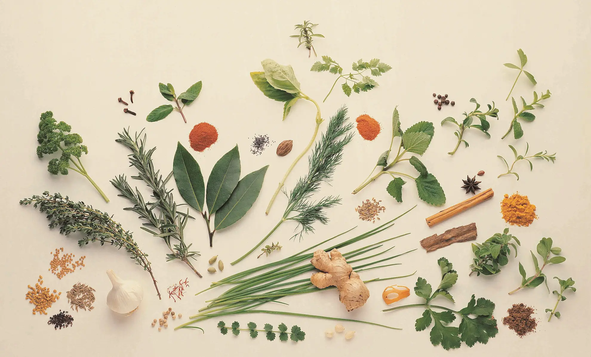 Harry Potter Themed Catering 17 Harry Potter Themed Catering